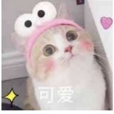 若只如初见