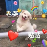 那还是舒芙蕾吧