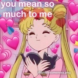 南风过境🌟
