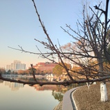 风精灵