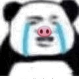 欧泡