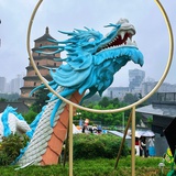 游泳撞上飞鸟