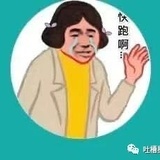 是南树啊