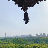 卷