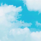 薄荷奶油变奏曲