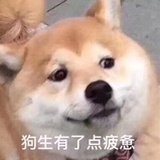 看我可爱吗