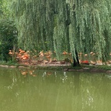 还没想好