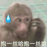 啊咩咩咩_