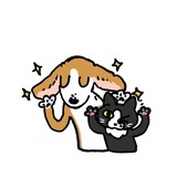 橙留香果宝