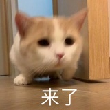 SYS不吃花椒