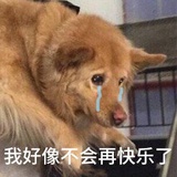 或许我该改名字