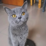 🔺橘刂小姐ʚ