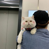 王泽铭