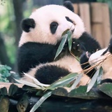 我很好那你呢