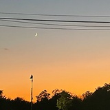 星辰在海面坠落