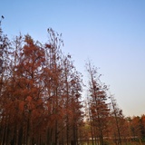 耳旁東風已過