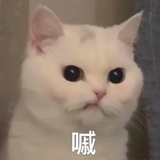 美丽俏佳人
