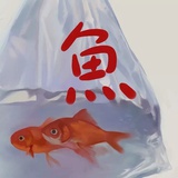 蒸鱼豉油_