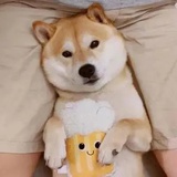 渴一刀🔪