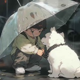 董浩洋
