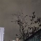 哈哈哈网友