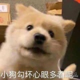 豆友205596667