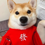 滚滚