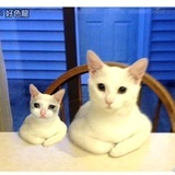 蘭