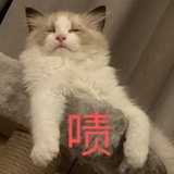 火锅底料