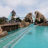 冬季里的小葡萄