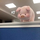 还是要继续呀