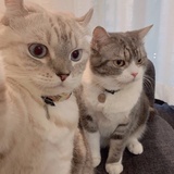 zzzyyll