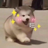 你懂什么事爱情