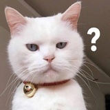 哈？