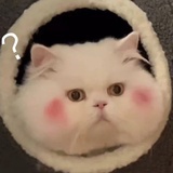 梦里见你说