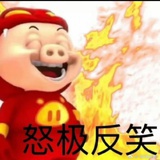猪宝