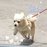 盐一