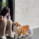 酒阑呼渡
