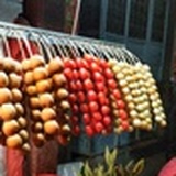 huaer菊花