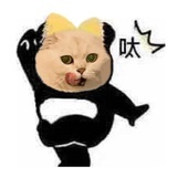 1313尼