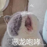 肉丝
