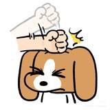 多肉葡萄