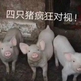 阳光下的心房
