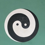 可以在读