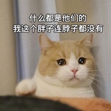八号路灯