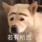 北冰洋校草