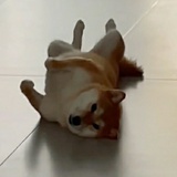 阅溪