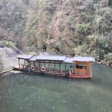 李子杏子