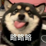 cc
