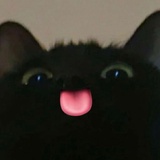 两口椰蓉